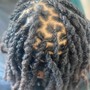 Loc Grooming (Trim)