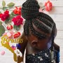 Feed in Braids/Up do