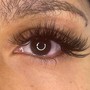 Volume Eyelash Fill in