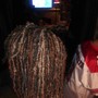 Starter Dreadlocks