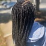 Medium Senegalese Twist