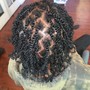 Shampoo, Loc Retwist, & Style