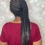 Kinky Twist/senaglese twists