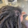 Root Touch Up