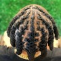 Starter Locs