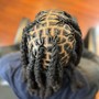 Starter Locs