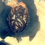 Kinky Twist