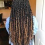 Starter Locs