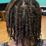 Natural Twists (No Extensions)