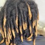 Starter Locs