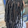 Soft Loc Root Maintenance