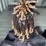 Root Touch Up