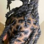 Shampoo and Style, Loc Re-twist