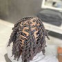 Starter Locs/Ear length