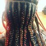 Havana Twists