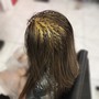 Root Touch Up