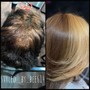 Single Process Color