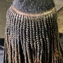 Loc Maintenance ( retwist)