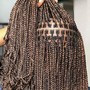 Goddess box Braids with hair