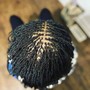 Small traditional starter locs