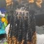 Starter locs