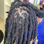 Starter Locs