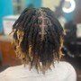 Starter locs