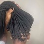 Medium Box Braids