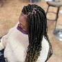 Large Boxbraids W/ Hair Included (Color 1b,27&30)