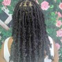 Lg Senegalese Twist