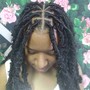 Starter Locs