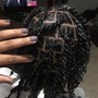 Root Touch Up