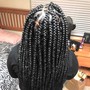 Small Box Braids