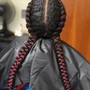 Feed In Braids (2)