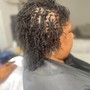 Consultation(Sisterlocks and Microlocks