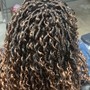 Adult Crochet Braids