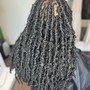 Rinse (roots only)