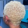 wash & style short hair w/ color tracks