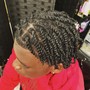 Natural Hair Braid Down