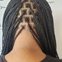 Kid's Braids (NO BOX BRAIDS)