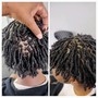 Root Touch Up