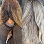 Transformative Balayage/Blonding Service