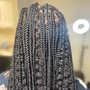 Box braids Sm size midback