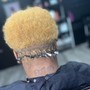 Color Service Blonde Whole Head