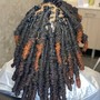 Loc Extensions