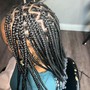 Natural hair Braids (no design)