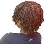 Starter Locs