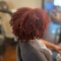 Loose hair Single process Color (short/afro)