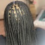 Medium 1 layer of Braids/Straight Braids to the back