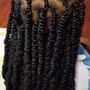 Natural Twists